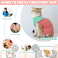 Cat Recovery Suit Female, Breathable Onesie After Surgery Female for Abdominal Wounds or Skin Diseases, Anti-Licking Full Body Cat Surgery Recovery Suit, E-Collar Alternative Wear