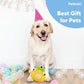 Petbobi Interactive Dog Toys for Boredom - Moving Dog Toy for Stimulating Play, Pet Plush Squeaky Ball for Small Medium Breeds with 4 Batteries, Sunny Boy Bobby