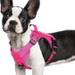 rabbitgoo Dog Harness Small Sized No Pull, Tactical Service Pet Vest with Molle and Control Handle, Adjustable and Reflective Military Harness for Easy Walking and Training, Rose Red, S