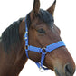 Horse Halter with Wool Lining, Adjustable Halter for Horses Satin Hardware to Prevent Friction, Breakaway Halters for Horses,Perfect for Traction and Performance