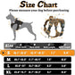 rabbitgoo Dog Harness Small Sized No Pull, Tactical Service Pet Vest with Molle and Control Handle, Adjustable and Reflective Military Harness for Easy Walking and Training, Desert camo, S