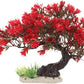 BESTOYARD Fish Tank Decor Artificial Plastic Bonsai Tree, Red Aquarium Ornament for Fish Tanks, 11.81 X 9.05 X 3.93 Inches