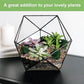 2.5 lbs Drainage Rocks for Potted Plants, 1/5 Inch Small Pebbles for Indoor Plants, Decorative Gravel for Vases, Bamboo, Succulent, Terrarium, Crafts, Cactus