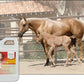 UltraCruz® Veterinary Liniment Wash for Horses, 1 gal Refill