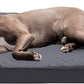 Furhaven Orthopedic Dog Bed for Large/Medium Dogs w/ Removable Bolsters & Washable Cover, For Dogs Up to 55 lbs - Quilted Sofa - Iron Gray, Large