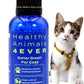 HA4E - Cat Bad Breath Remedy - Promotes Clean Teeth, Plaque & Tartar Control - No Brushing Needed - All-Natural, Non-GMO, Organic, Preservative & Chemical Free - 300 Dissolvable Tablets