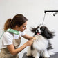 L&W BROS. Hands-Free Dog Dryer – Powerful & Professional Pet Blow Dryer for Small & Medium Dogs & Cats, Adjustable Airflow, Easy Storage, Negative Ion Technology (Green)