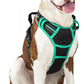 rabbitgoo Dog Harness No Pull with 2 Leash Clips, Adjustable Soft Padded, Reflective Oxford No Choke Pet Vest with Easy Control Handle for Large Dogs, Black & Turquoise, L