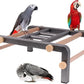 Large Bird Table Training Perch for African Grey Macaw Amazon Parrot, Heavy-Duty Metal Ladder No Tool Install Rustproof Bird Roosting Wooden Bars for Exercise and Play Climb for Fun