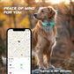 AirTag Dog Collar - Leather Dog Collar with Air Tag Holder | IPX8 Waterproof, Reflective, High - End, Adjustable Soft Padded | Dog GPS Tracker Collars Fit for Medium Large Dogs (Teal, L)