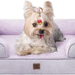 EHEYCIGA Orthopedic Dog Bed for Small Dogs, Waterproof Memory Foam Small Pet Beds with Sides, Non-Slip Bottom and Egg-Crate Foam Medium Dog Couch Bed with Washable Removable Cover, Lilac