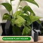 Aquarium Plant Holder for Rimmed Tank, Aquarium Hanging Plant Holder, Plastic Aquatic Plant Pot with 5 Hole, Fish Tank Decorations for Aquatic Plants, 0.5 inch