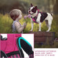 BUMBIN Dog Harness for Large Dogs, No Pull Adjustable No Choke Pet Vest with Dog Leash Fit Smart Reflective Pet Walking Harness for Training Easy Control Soft Handle Rose Red L