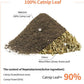 Premium Catnip for Cats & Kittens – Cold-Processed, High Potency Nepetalactone, 100% Pure Leaf-Only Catnip for Toys, Scratchers, Refills, Stimulates Play & Protects Furniture - 10g