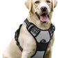 rabbitgoo Dog Harness No Pull with 2 Leash Clips, Adjustable Soft Padded, Reflective Oxford No Choke Pet Vest with Easy Control Handle for Large Dogs, Grey, L
