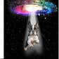 Funny Dog Wall Art Canvas Boston Terrier Wall Decor Prints Framed Painting Bulldog Galaxy Pictures Gifts Artwork for Bathroom 16"x24"