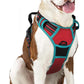rabbitgoo Dog Harness No Pull with 2 Leash Clips, Adjustable Soft Padded, Reflective Oxford No Choke Pet Vest with Easy Control Handle for Large Dogs, Red & Teal, L