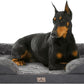XXL Orthopedic Dog Bed - Washable Dog Sofa Beds for Giant Dogs, Supportive Foam Pet Couch Bed with Removable Washable Cover, Waterproof Lining and Nonskid Bottom