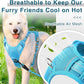BARKBAY Dog Harness No Pull with ID Tag Pocket - Heavy Duty, Reflective, Easy Control for Large Dogs(Blue,M)