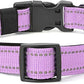 Reflective Dog Collar Padded with Soft Neoprene Breathable Quick Release Basic Dog Collars for Medium Large Dogs Lavender