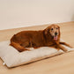 FUNNY FUZZY Washable Dog Bed,Reversible Plush Dog Crate Mat, Soft Fluffy Kennel Pad,Pet Sleeping Mattress for Jumbo,X-Large Sized Dogs Breeds,2XL,48"× 31",Beige