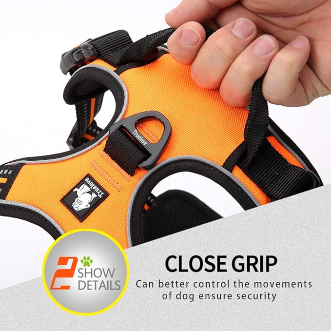 Truelove No Pull Dog Harness with Easy Control Handle and 2 Leash Attachments,Reflective Adjustable Pet Vest