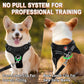 Dog Harness Step in Dog Vest Harness, Reflective Adjustable Puppy No Pull Harness Breathable Soft for Small and Medium Dogs Cats, Black, S