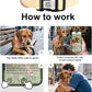 Dog Collar with Waterproof AirTag Holder & Anti-Lost QR Code, Cute Bling Warpping Adjustable Width for Small Medium Large Pet (Yellow, S)