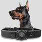AirTag Dog Collar - Leather Dog Collar with Air Tag Holder | IPX8 Waterproof, Reflective, High - End, Adjustable Soft Padded | Dog GPS Tracker Collars Fit for Medium Large Dogs (Black, M)