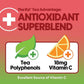 Ryl Iced Tea, Watermelon, Antioxidant Superblend, Zero Sugar, Low Carb, Zero Calorie Iced Tea, 16.0 Fl Oz (12-Pack)