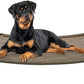 Veehoo Outdoor Elevated Dog Bed, Cooling Raised Dog Cot Bed XL, Portable Waterproof Curved Dogs Hammock Beds for Outside, up to 150lbs, Black Legs, Brown 49"