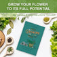 5 Herb Seeds Garden Starter Kit with Complete Planting Kit & Wooden Flower Box, Growing into Basil, Parsley, Rosemary, Thyme, Mint for Kitchen Windowsill Herb Garden DIY