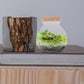 Fish Bowl with LED Light - Small Betta Fish Tank with LED Lighting and Lid Glass Fish Bowl Small Aquarium for DIY Landscape