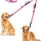 PetBonus Double Dog Leash, No Tangle Dual Leash, Reflective Walking Training Lead, 4 Comfortable Padded Handles for 2 Dogs with Collapsible Bowl and Waste Bags (Pink, Large)