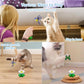 Yisquar Electric Bird & Butterfly Teasing Cat Toy 2PCS Interactive Bird Toy for Cats Interactive Cat Toys Automatic Electric Butterfly 360°Rotating Kitten Toys Fun Flying Birds Cats Play Chase