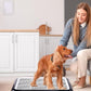Mifoci 2 Pcs Dog Pee Pad Holder Potty Tray Portable Dog Litter Box Toilet Training for Indoor Outdoor Small Medium Large Pet Puppy(25.6 x 18.9 Inch)