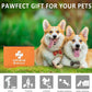 Pet First Aid Kit for Dogs & Cats - Dog First Aid Kit Pet Emergency Kit with First Aid Supplies for Home Camping Hiking Traveling