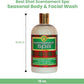 Best Shot Scentament Spa Seasonal Facial & Body Wash, Harvest Apple, 16 oz