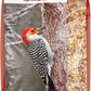 Lyric Fruit and Nut Wild Bird Seed - High Energy Wild Bird Food Mix - Attracts Woodpeckers, Chickadees & Other Songbirds - 20 lb bag