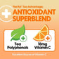 Ryl Iced Tea, Peaches & Cream Tea, Antioxidant Superblend, Zero Sugar, Low Carb, Zero Calorie Iced Tea, 16.0 Fl Oz (12-Pack)