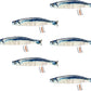 6 PCS Cat Fish Toy Soft and Durable,Cat nip Toy with Catnip Inside, Kicker Toys for Indoor Kitten Exercise,Kitty Teething Chew Toy (6 Sauries)