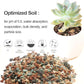 TOYPOPOR Mix Horticultural Lava Rock Pebbles Pumice Potting Soil Amendment Succulent Cactus Bonsai Gritty Rock Decorative Gravel Plant Drainage Volcanic for Terrarium Fairy Gardening Top Dressing 6lb