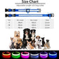 PcEoTllar Light up Dog Collar for Night Walking - LED Dog Collar Light Rechargeable Color Changing, Glow in The Dark Dog Collars Waterproof Glowing Dog Collars for Large Small Medium Dogs