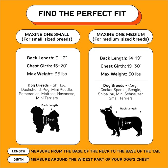 The Maxine One Medium Dog Carrier by Little Chonk | Dog Backpack Carrier for Medium Sized Breeds | Adjustable Front Facing Pet Carrier for Travel | Dog Hiking Backpack - Bark After Dark Black