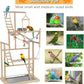 Pet Parrot Playstand Parrots Bird Playground Bird Play Stand Wood Perch Gym Playpen Ladder with Feeder Cups Bells for Cockatiel Parakeet (4 Layers)