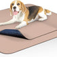 Paw Inspired Washable Pee Pads for Dogs (2 Pack), Leakproof, Non-Slip Reusable Puppy Pads for Potty Training, Whelping, Waterproof Mat (32x30 Inch, Pack of 2)
