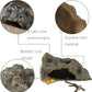 IBWell Resin Leopard Gecko Hide, True to Nature Reptile Rock for Bearded Dragon Hideout Snake Hides for Ball Pythons, Tortoise House Terrarium DÉCor - Meidum