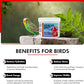 Morning Bird Vitalize, Supplement for Sick, Injured, or Stressed Caged Birds; Dehydration and Exhaustion Treatment for Parakeets, Cockatiels, Budgies, Finches, Canaries, and Parrots, 3 oz