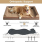 BFPETHOME Extra Large Dog Bed, Washable, Large Dog Bed with Removable Cover, Waterproof Lining and Non-Slip Bottom,Egg-Crate Foam Pet Sofa Bed