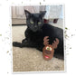 Meowijuana | Furry and Bright Bundle | Get Blitzed Reindeer and Winter Lift | Promotes Play and Cat Health | Includes Organic Catnip | Feline and Cat Lover Approved